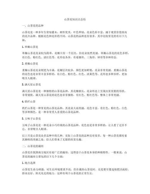 山茶花知识点总结