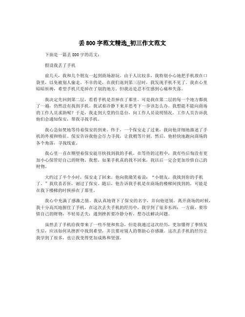 丢800字范文精选_初三作文范文