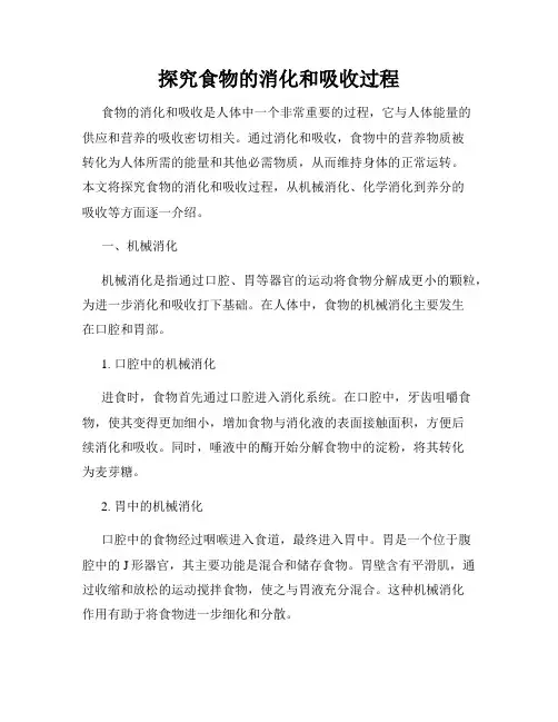 探究食物的消化和吸收过程