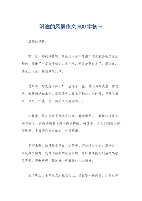 沿途的风景作文800字初三