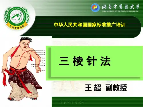 三棱针