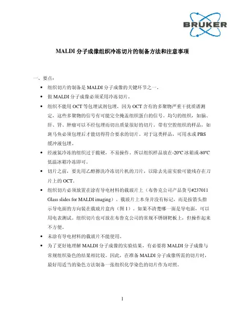 MALDI分子成像冷冻切片制备方法