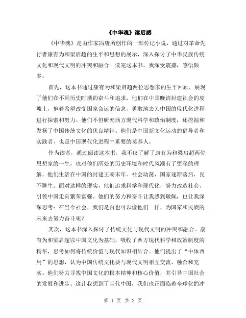 《中华魂》读后感