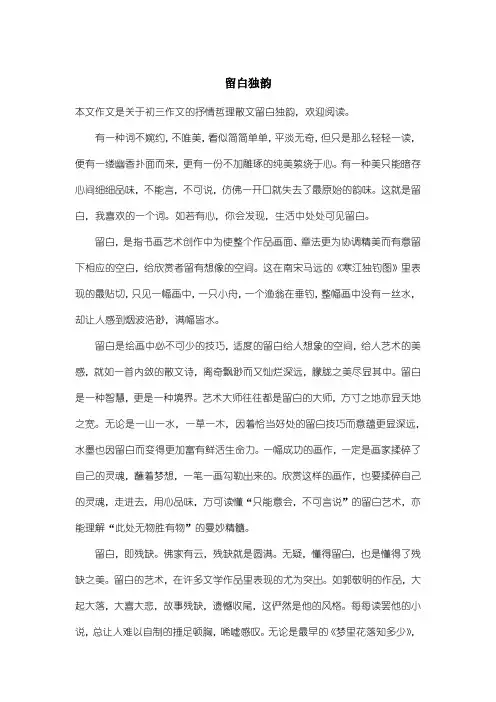 初中初三作文抒情哲理散文：留白独韵