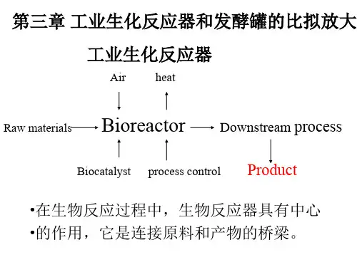生化工程第六章-发酵罐的比拟放大 [自动保存的]