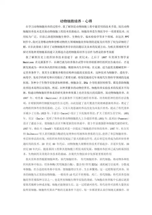 动物细胞培养心得