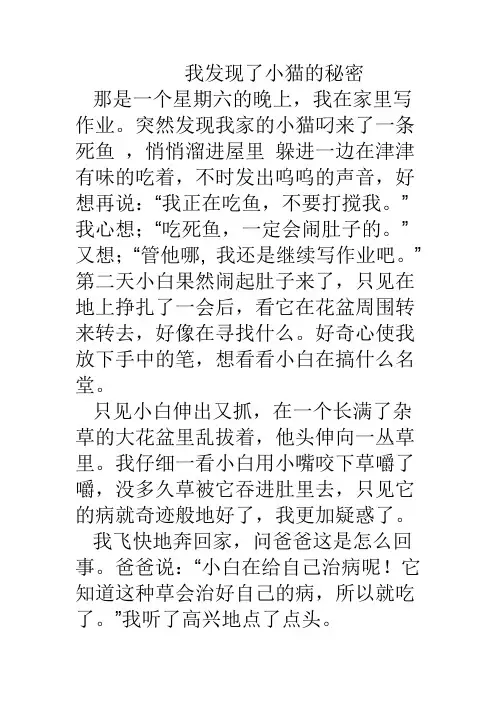 我发现了小猫的秘密