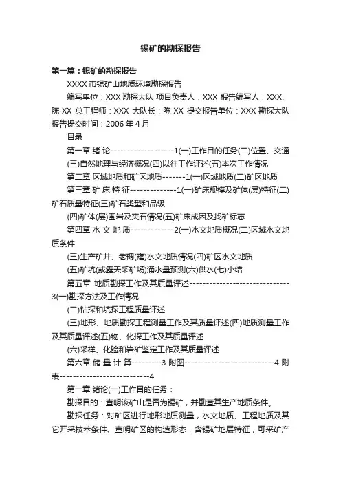 锡矿的勘探报告