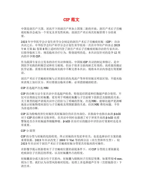 CSP范文范文