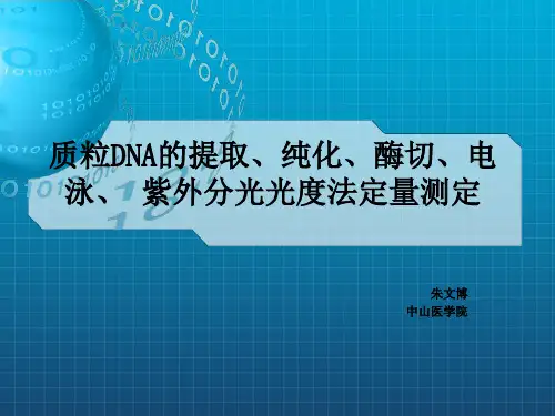 实验一二重组质粒DNA提取、双酶切鉴定、凝胶电泳、紫外分光法