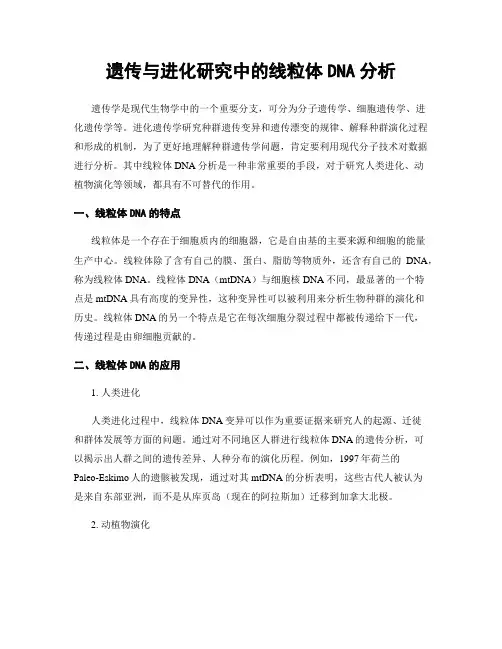 遗传与进化研究中的线粒体DNA分析