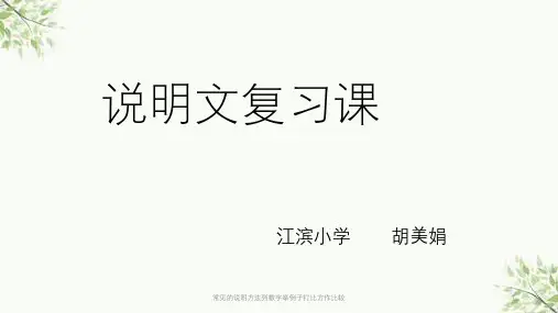常见的说明方法列数字举例子打比方作比较课件