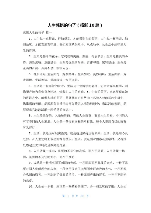 人生感悟的句子(精彩10篇)