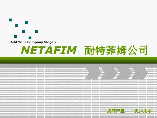 耐特菲姆公司  简介