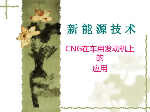 CNG