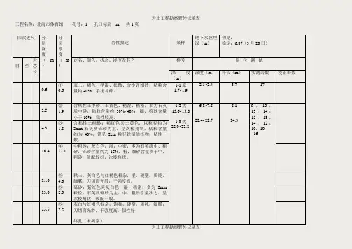 附录4--岩土工程勘察野外记录表汇总