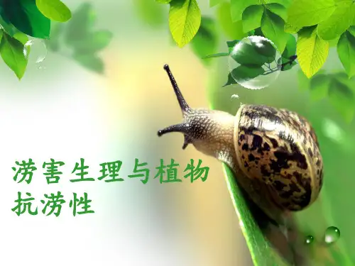 植物生理学PPT