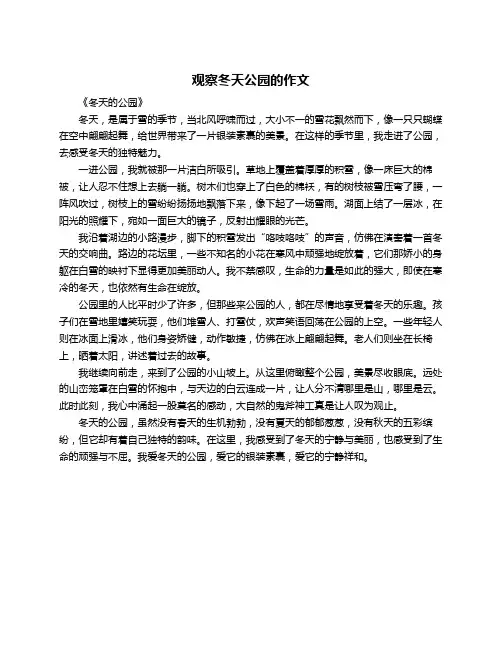 观察冬天公园的作文