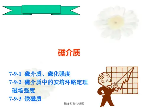 磁介质磁化强度PPT课件