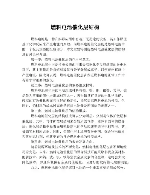燃料电池催化层结构