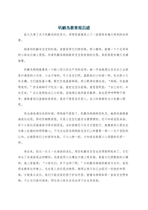 矶鹬鸟教育观后感