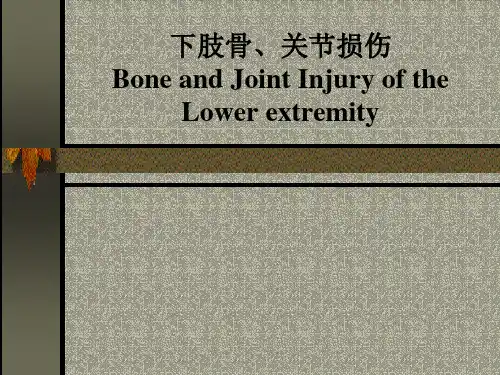 下肢骨关节损伤-精品医学课件