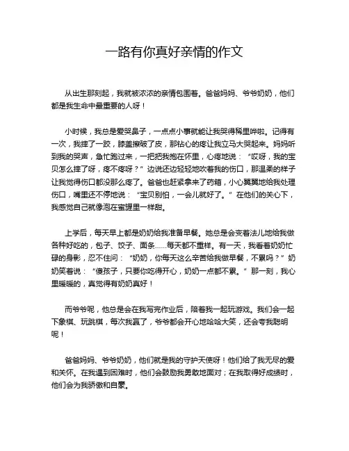 一路有你真好亲情的作文