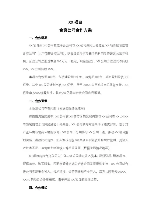 XX项目合资公司合作方案