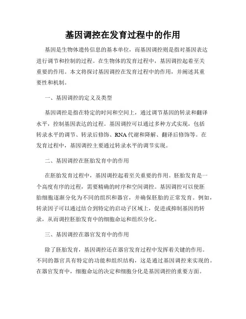 基因调控在发育过程中的作用