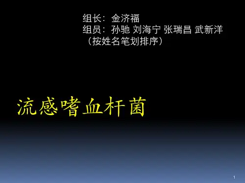 《流感嗜血杆菌》演示PPT