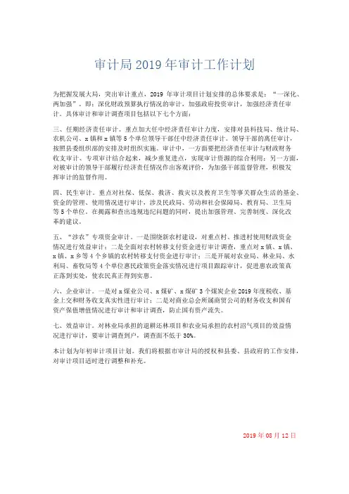 最新-审计局2019年审计工作计划 精品