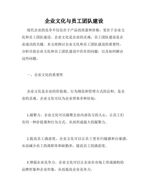 企业文化与员工团队建设