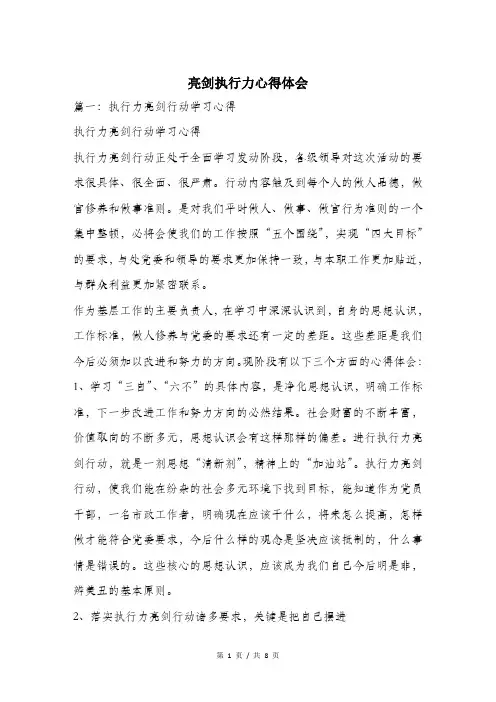 亮剑执行力心得体会.doc