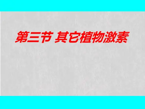 人教版高中生物必修三第3章第3节  其他植物激素  课件(共22张PPT)