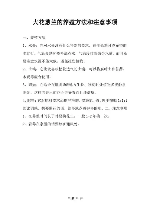 大花蕙兰的养殖方法和注意事项 