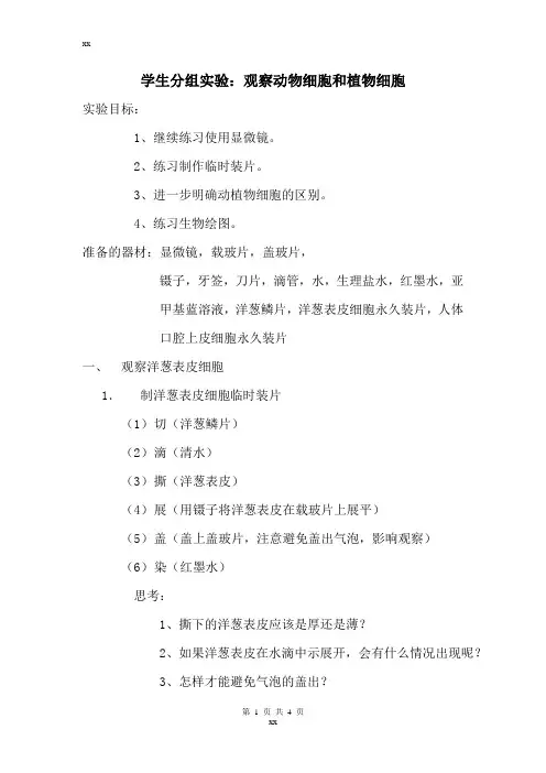 观察动物细胞和植物细胞