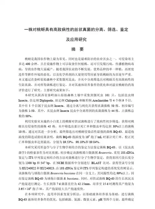 一株对桃蚜具有高致病性的丝状真菌的分离、筛选、鉴定及应用研究