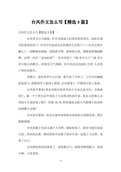台风作文怎么写【3篇】