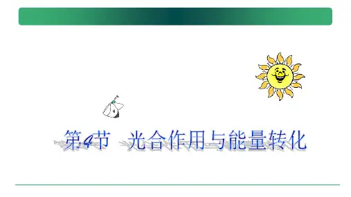新教材高中生物必修一选考生物5.4光合作用和能量转化