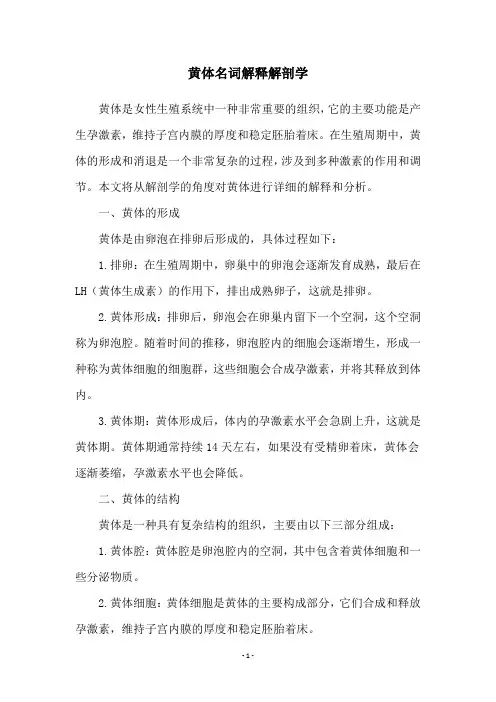 黄体名词解释解剖学