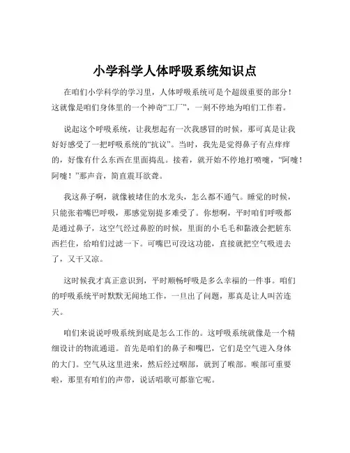 小学科学人体呼吸系统知识点