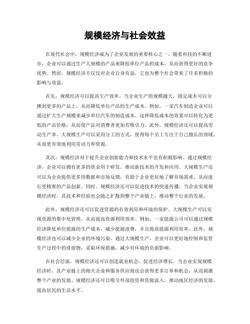 规模经济与社会效益