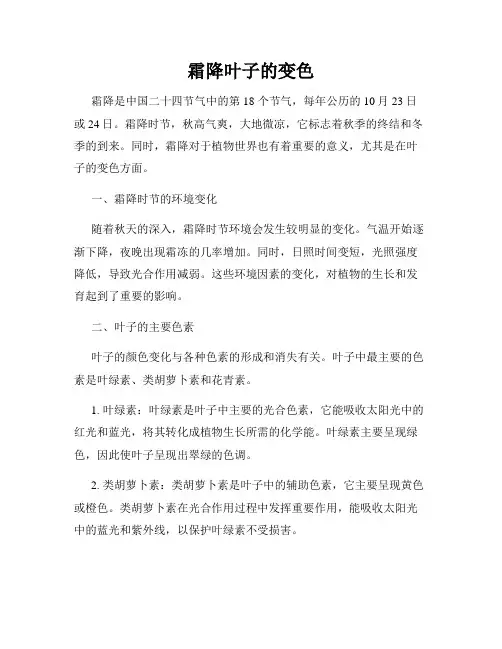 霜降叶子的变色