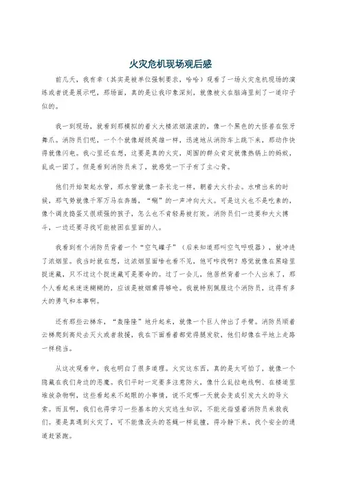 火灾危机现场观后感