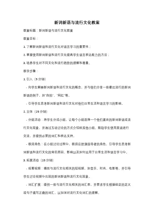 新词新语与流行文化教案