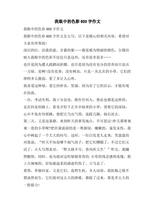 我眼中的色彩600字作文