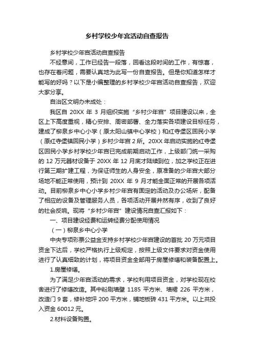 乡村学校少年宫活动自查报告