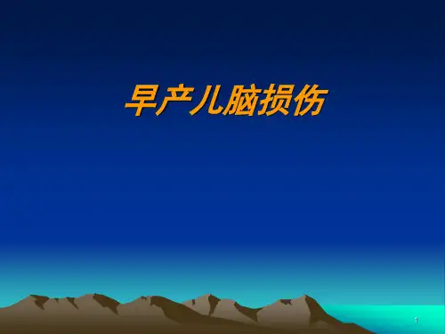 早产儿脑损伤分类ppt课件