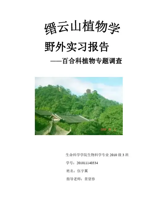 缙云山百合科植物