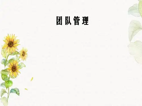 团队管理的知识